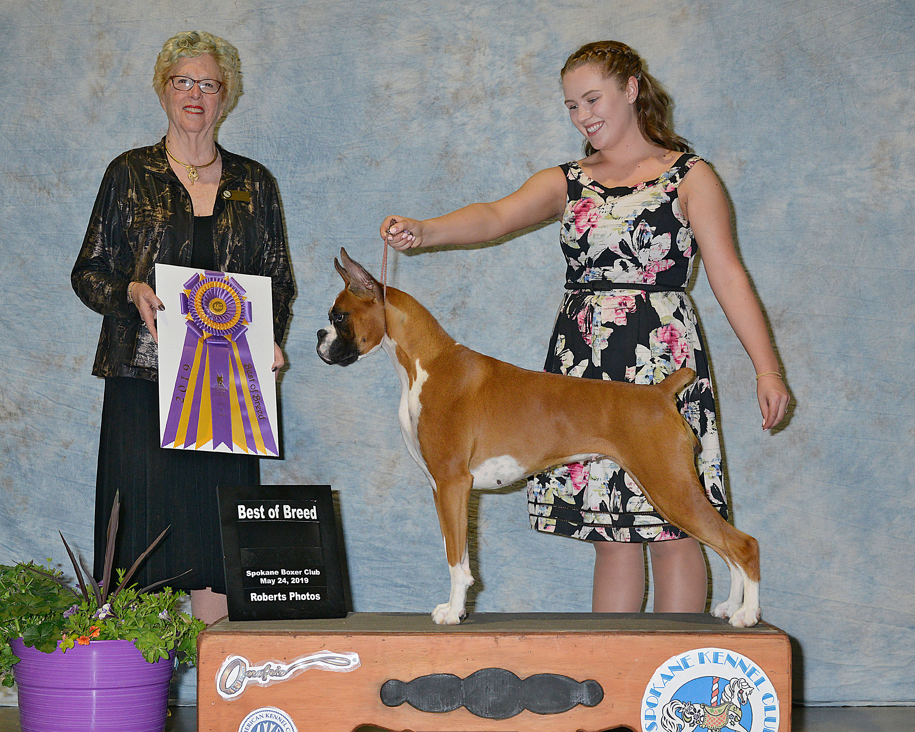 Lala%20Best%20of%20Breed%20Spokane%20Boxer%20Club%202019