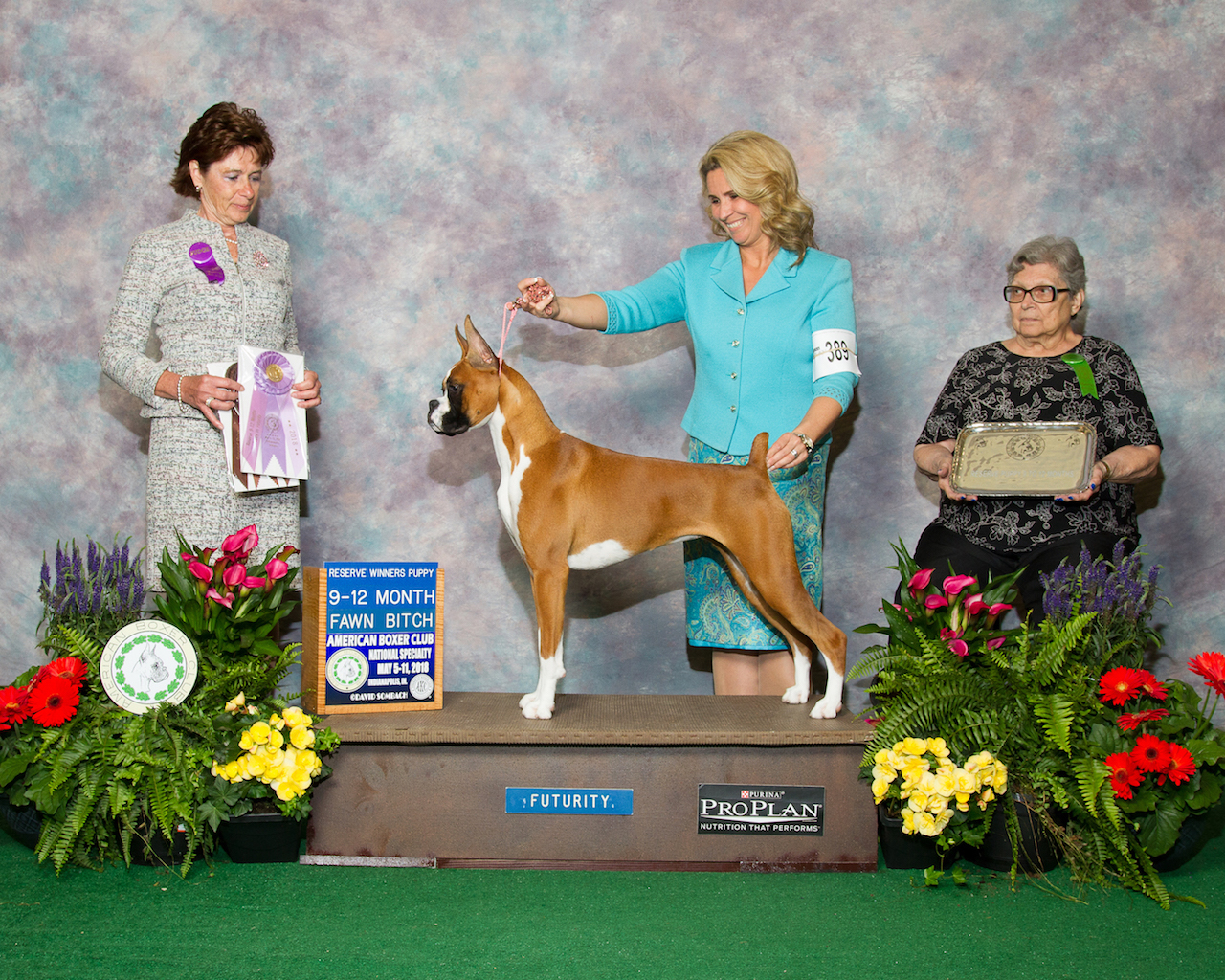 Lala%20Reserve%20Winners%20Puppy%20National%20May%202018%20web%20