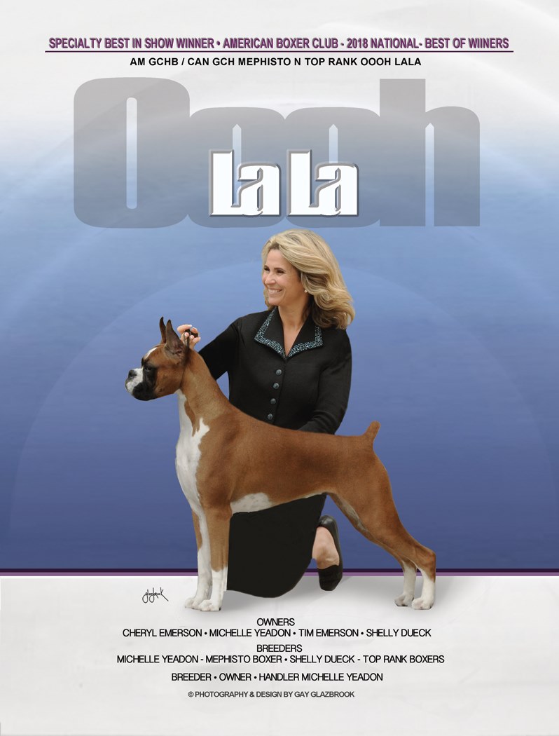 Lala%20WKC%20ad%20by%20Gay%20