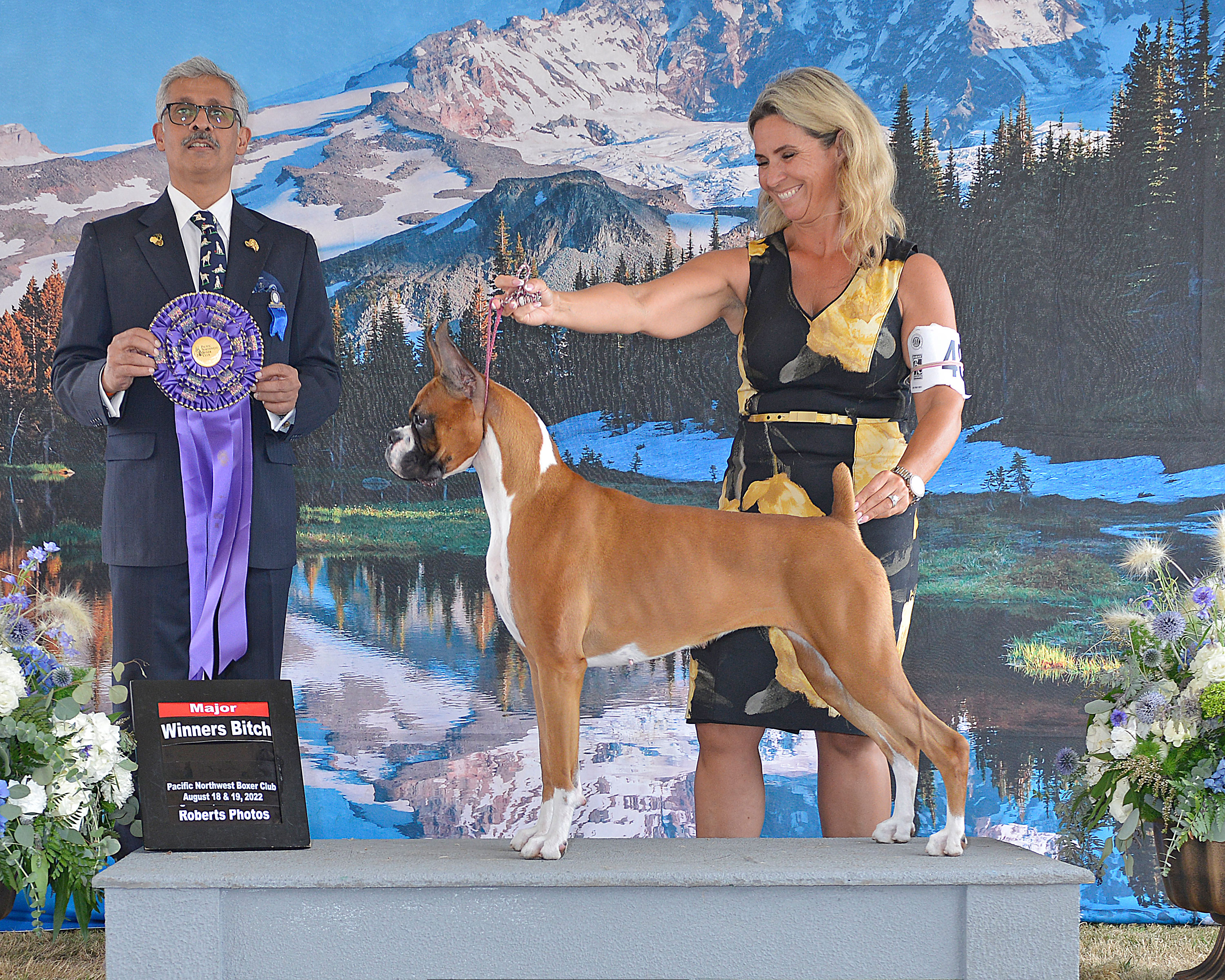 Lively%20BOB%20Trophy%20Boxer%20Puppy.jpeg
