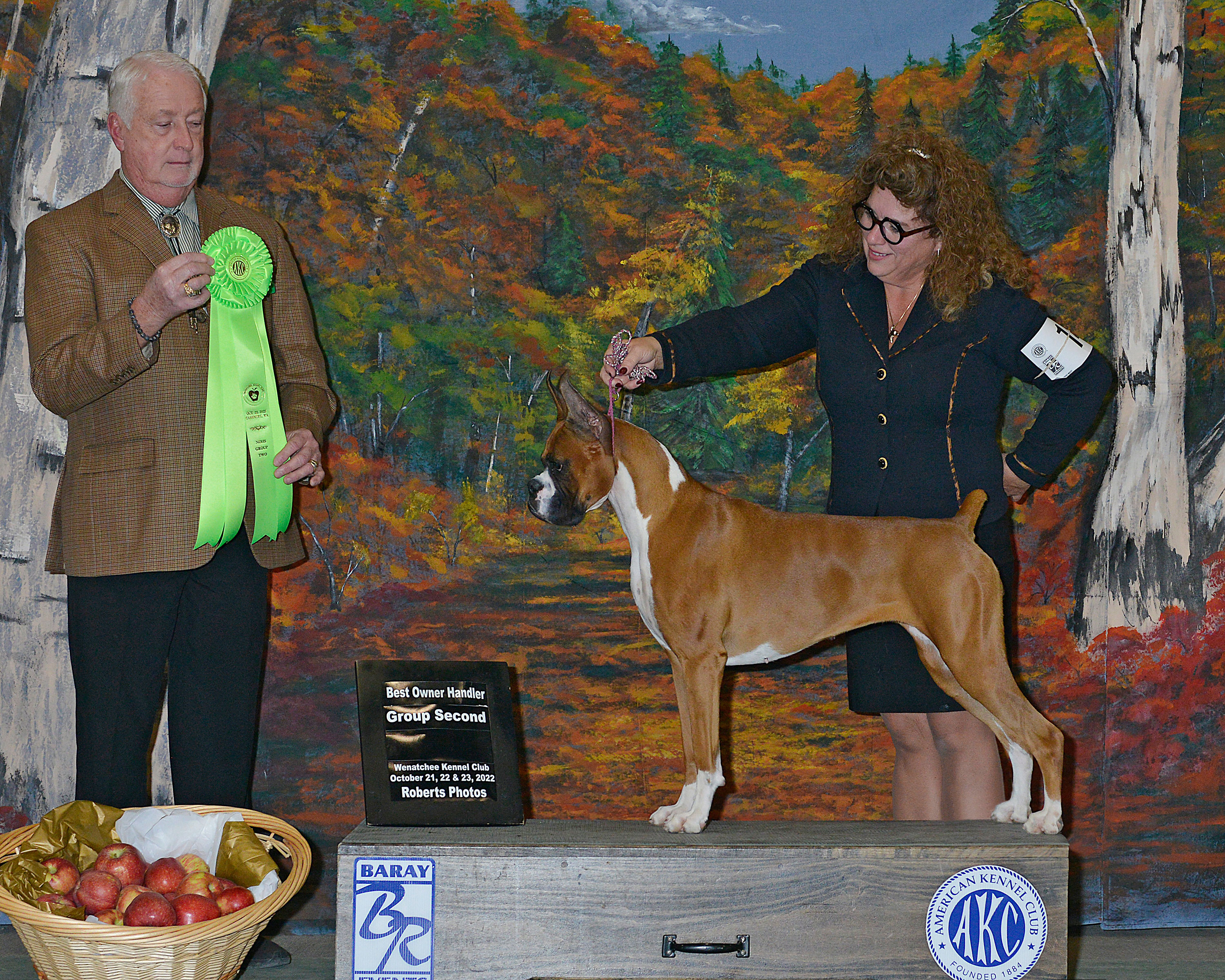 Lively%20BOB%20Trophy%20Boxer%20Puppy.jpeg